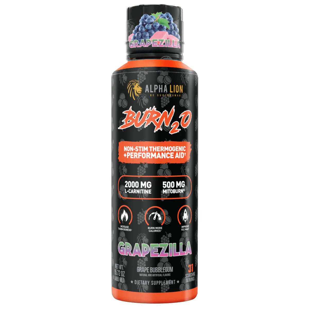 BURN2O - Image 10