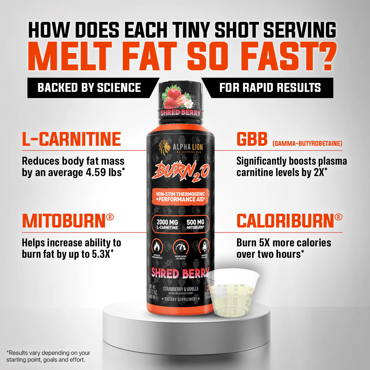 Stubborn Fat Loss Stack - Image 5