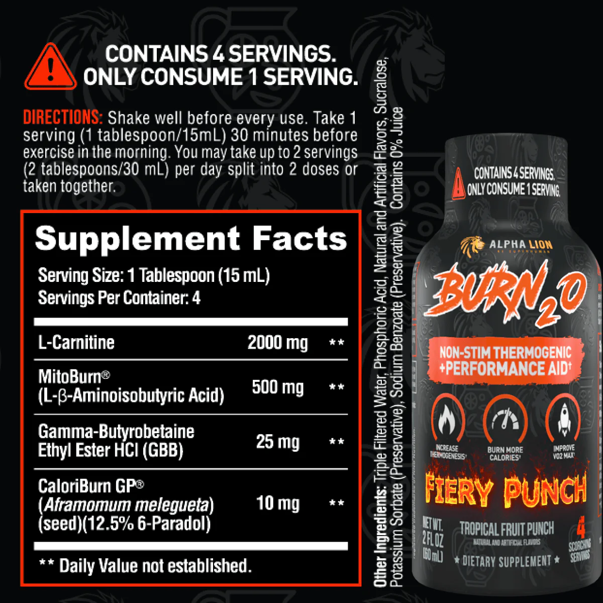 BURN2O Sample - Image 6