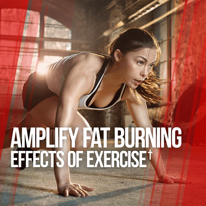 GAINS CANDY™ MITOBURN®  - Fat Loss Amplifier† - Image 6