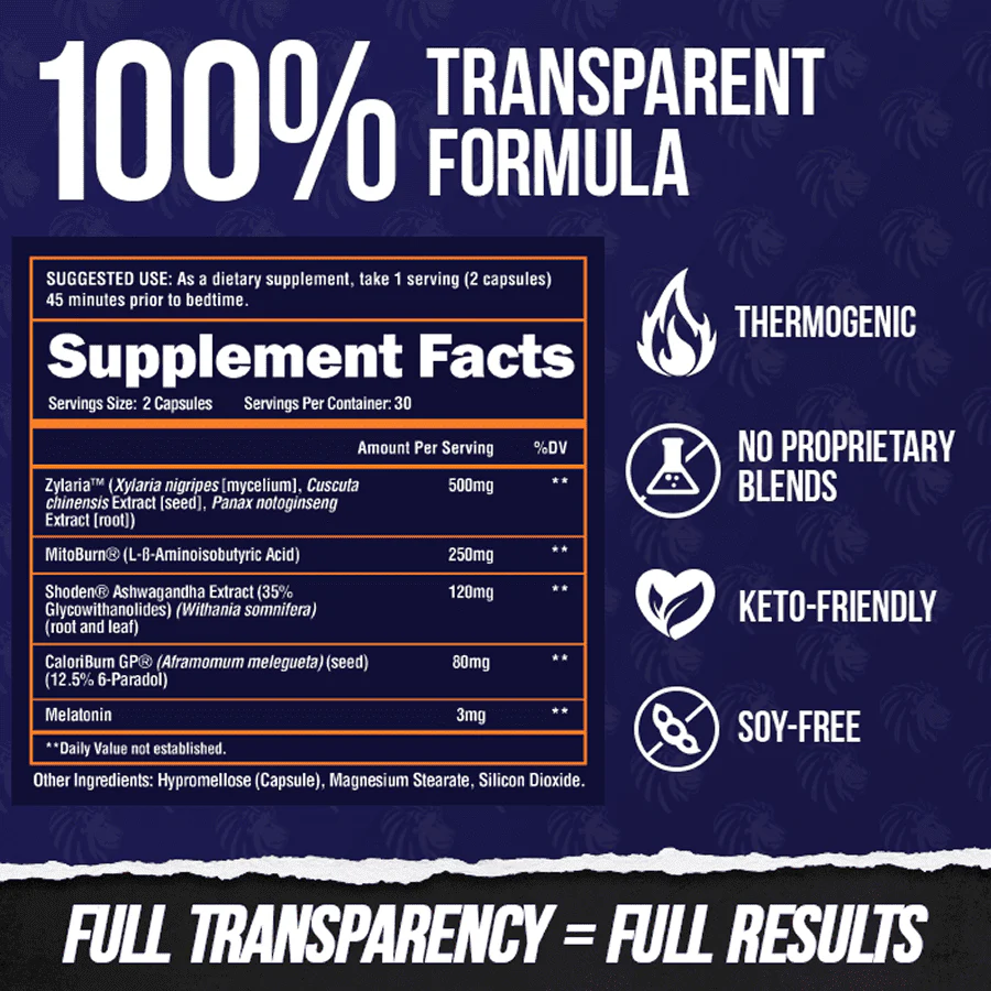 NIGHT BURN - Nighttime Fat Burner - Image 3
