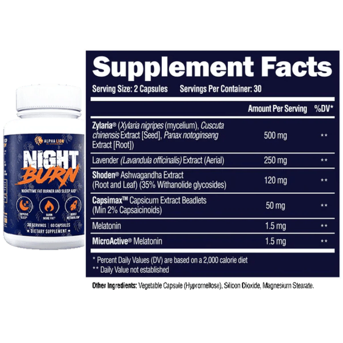 NIGHT BURN - Nighttime Fat Burner NL x6 - Image 5