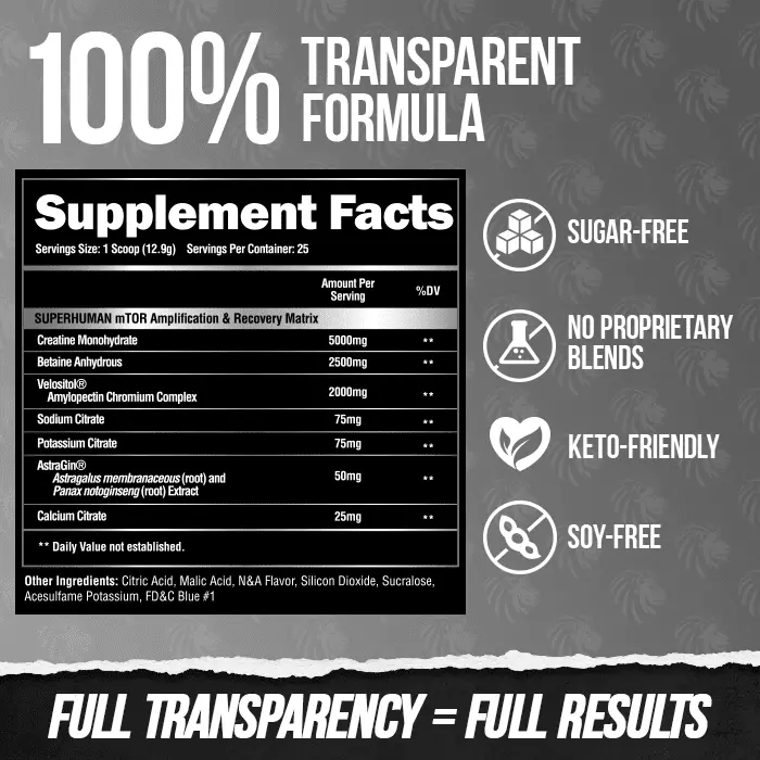 SUPERHUMAN® POST - Post Workout Muscle Builder.† - Image 4