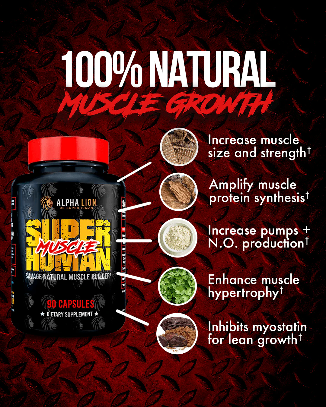 The Alpha Stack - (SuperHuman Muscle & SuperHuman Test) - Image 3